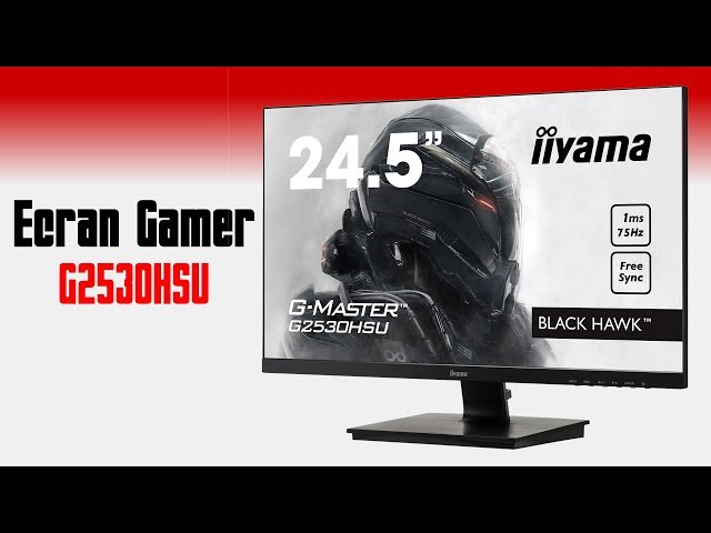 Pr�sentation �cran iiYAMA G2530HSU