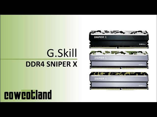 Pr�sentation m�moire DDR4 G.Skill Sniper X