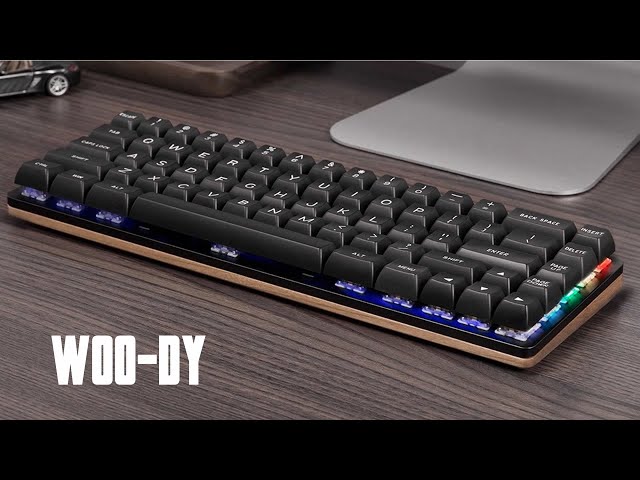 Pr�sentation clavier Woo-Dy