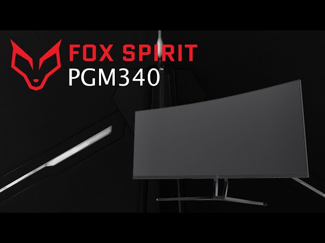 Pr�sentation �cran Gamer FOX SPIRIT PGM340