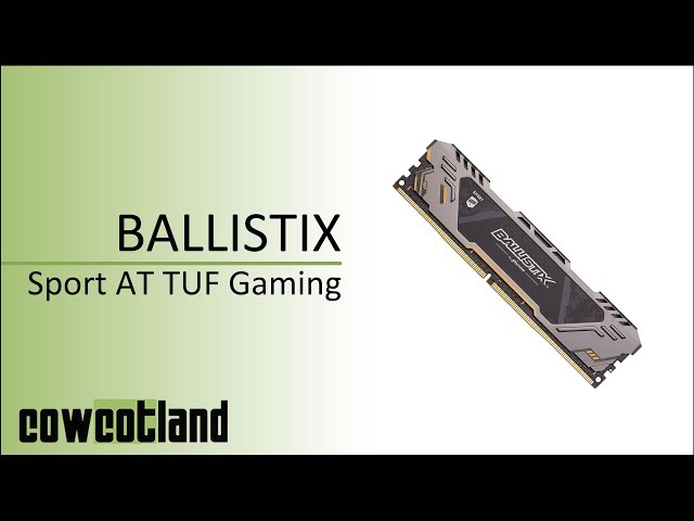 Pr�sentation m�moire DDR4 Ballistix Sport Gaming Memory TUF