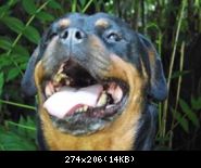 Images suivantes