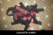 Images suivantes
