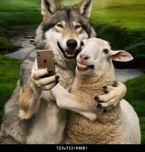 Image 20910