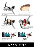 Images suivantes