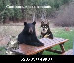 Images suivantes
