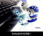Images suivantes