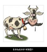 Images suivantes