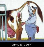 Images suivantes