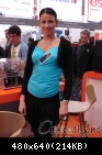 Images pr�c�dentes