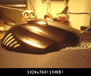 Images suivantes