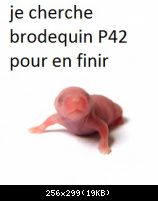Image 8847