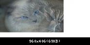 Images suivantes