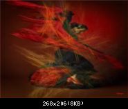 Images suivantes