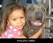 Chien-young-girl-pitbull-img