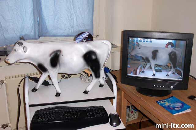 Moocowmoo0021l 