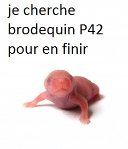 Souriceau-2 