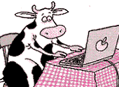 Vache Ordinateur 