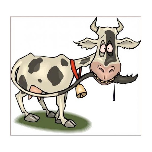 Sticker-vache-barjot 