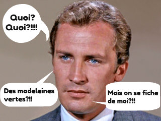 David-vincent-madeleines 