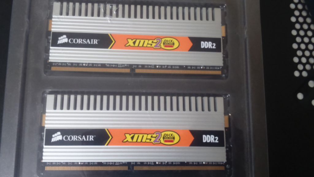 Ram -