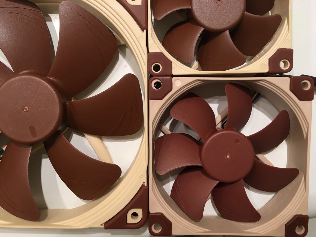 Noctua 