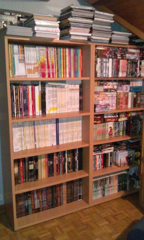 Collection 3 Les animes visionn�s � la date du 06/12/13 ainsi qu'une partie de ma collection de BD. Il y a 3 niveaux d'�paisseurs pour les DVD sur certaines �tag�res ^^, et �a entasse dessus �galement.