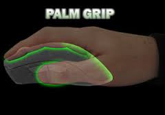 Palm Grip 