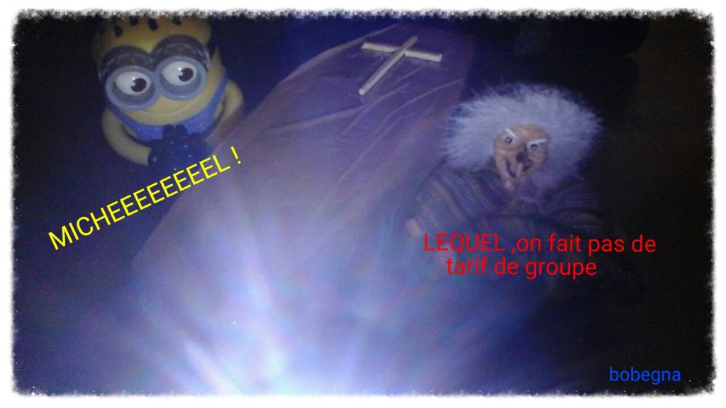 2016-01-05 18.18.44 Michel,en vogue actuellement....