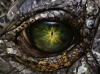 avatar de Bayou