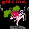 avatar de radi