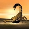 avatar de Scorpy